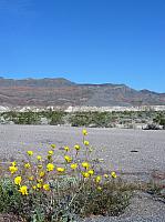 vallée de la mort  (14).JPG